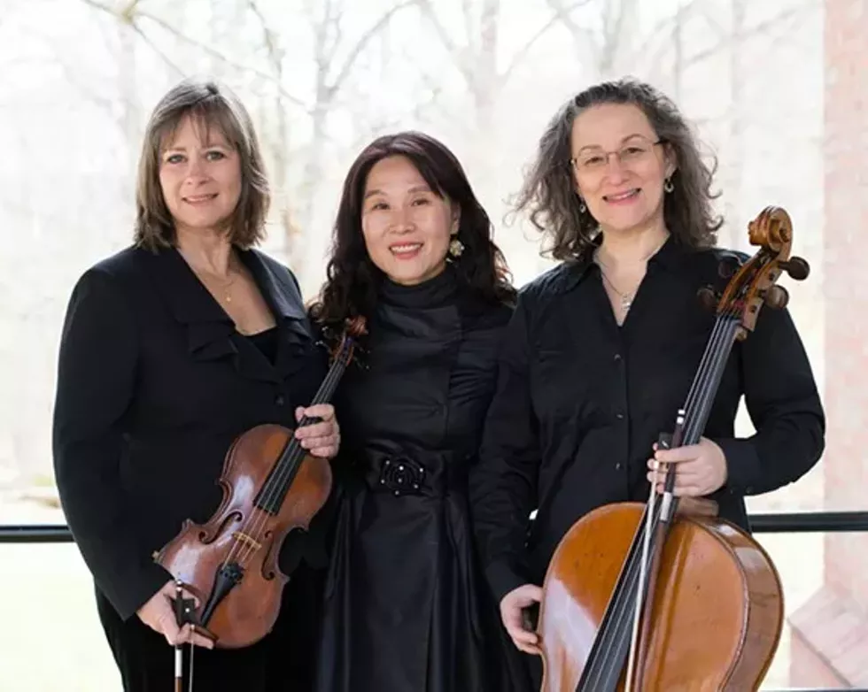 3fe2ec37_hudson_valley_piano_trio_-_press_photo.webp