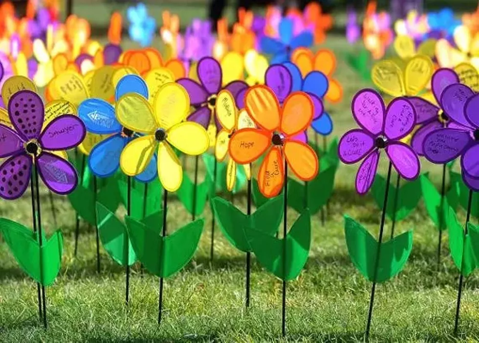 549acf3b_alz_flowers.webp