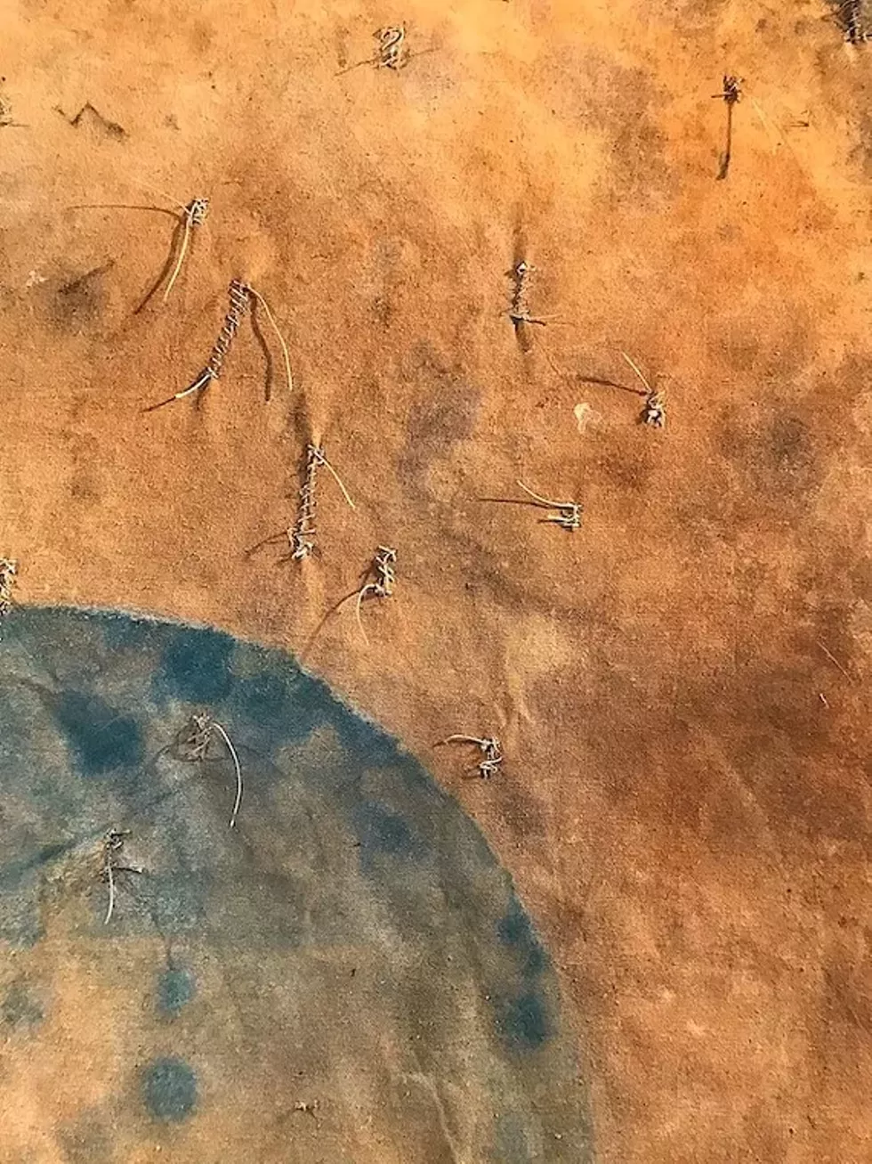 2f9a27f2_large_painting_detail.webp