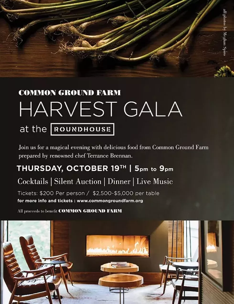 3054c59c_harvestgala-postcard-web-final.webp