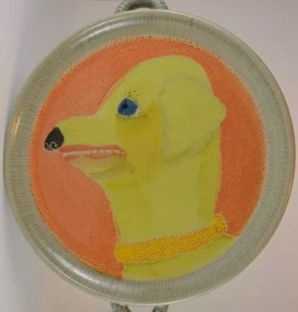 64b6bc0c_brother_dog.webp