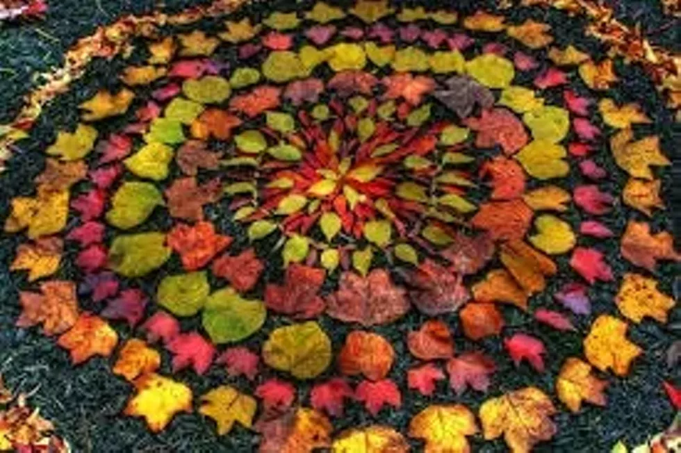 7ca0c9d0_restorative_yoga_-_november_002_.webp