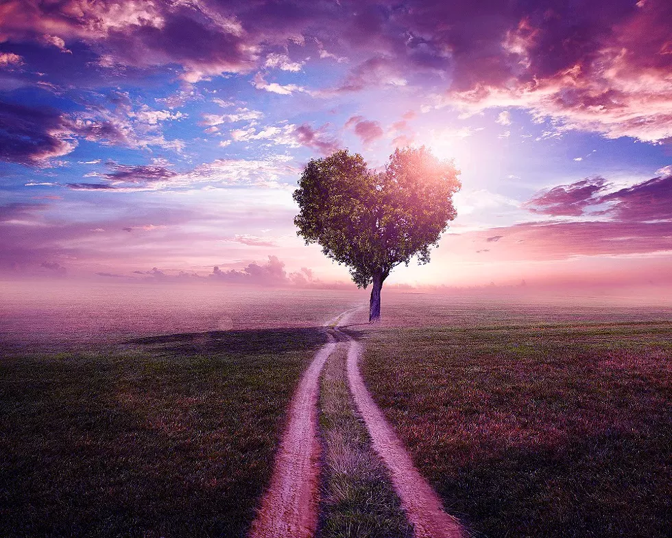 6b4ec368_heart-tree.webp