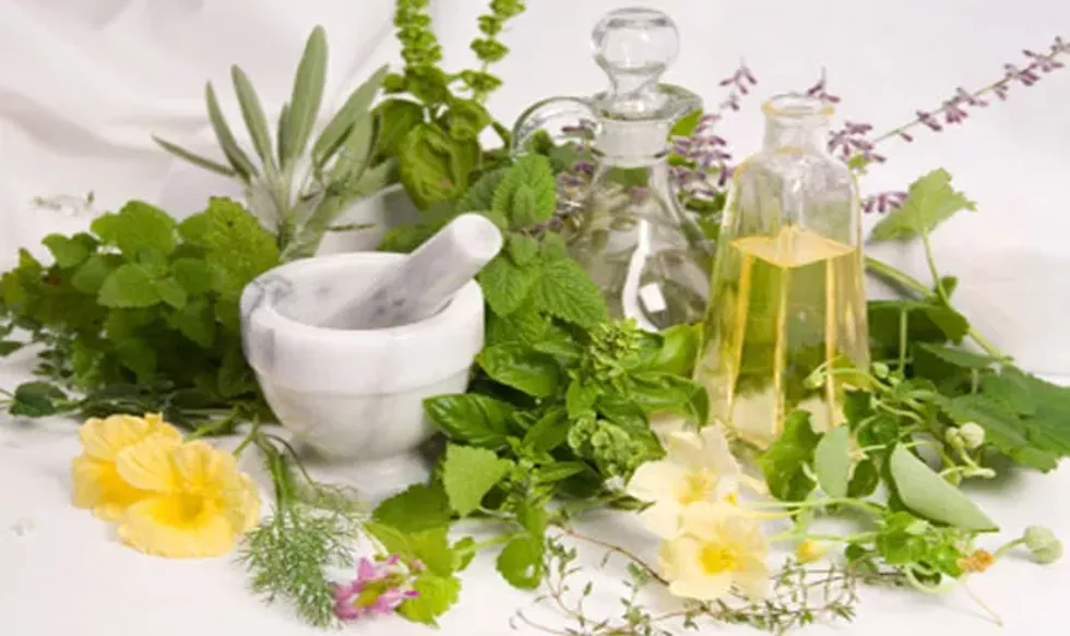 2901f20d_banner.webp