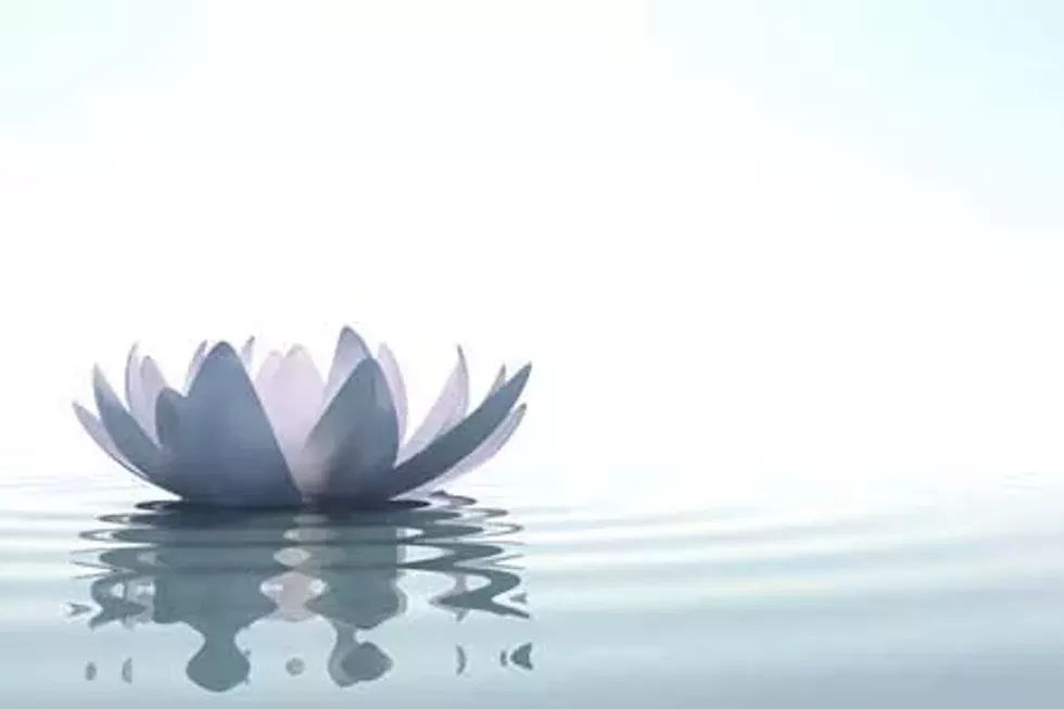 28940890_deeprelax.webp