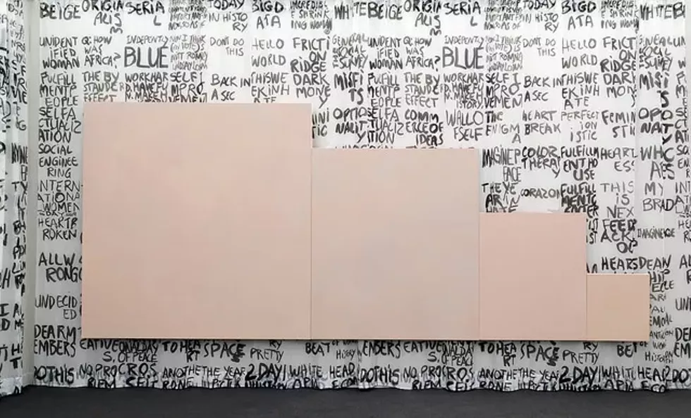 e684d781_artist_rochelle_feinstein.webp