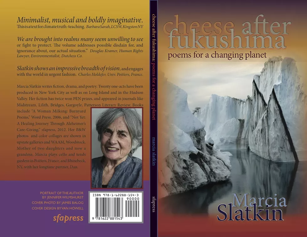 1bdea958_marcia_slatkin_cheese_book_cover.webp