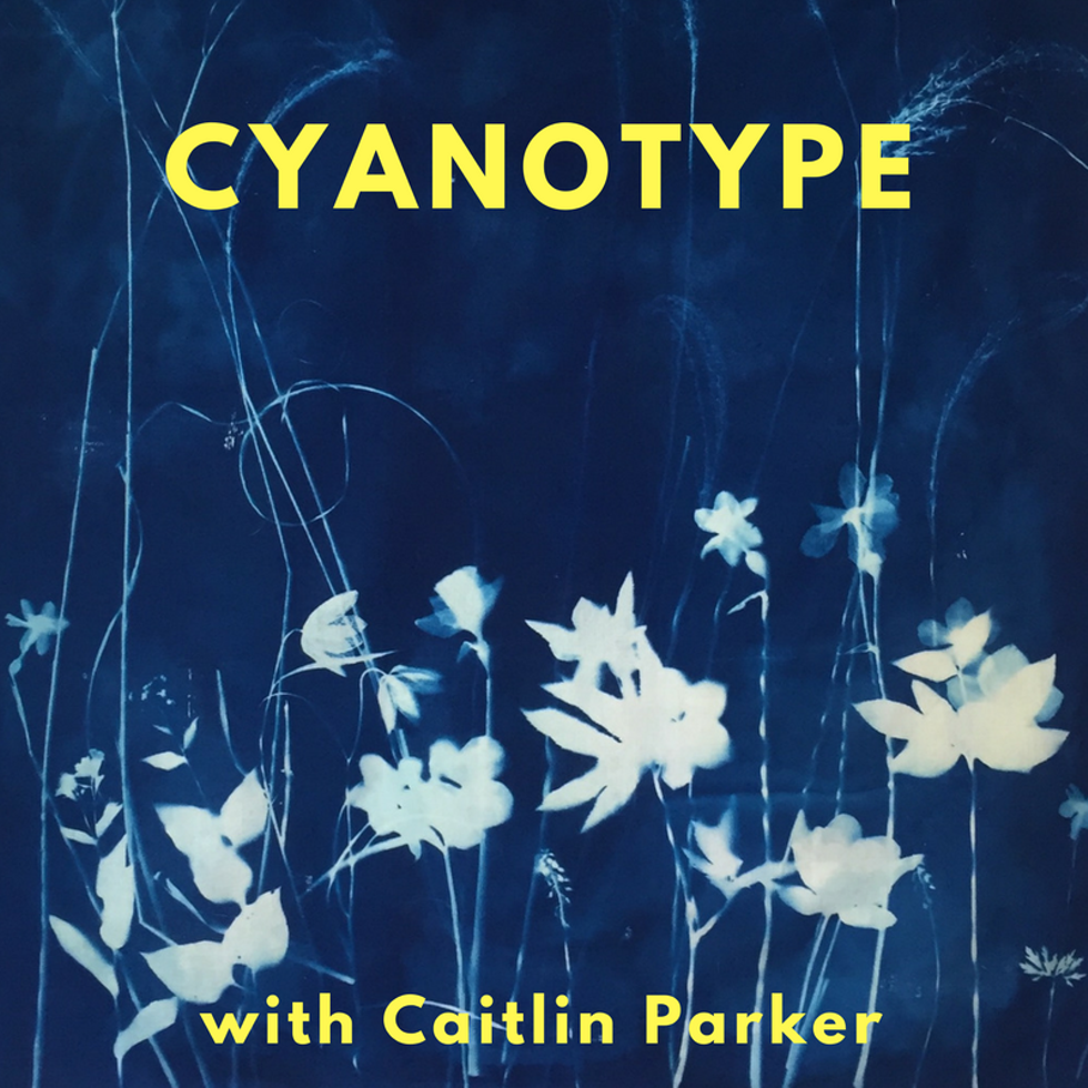 cf703ca7_cyanotype.png