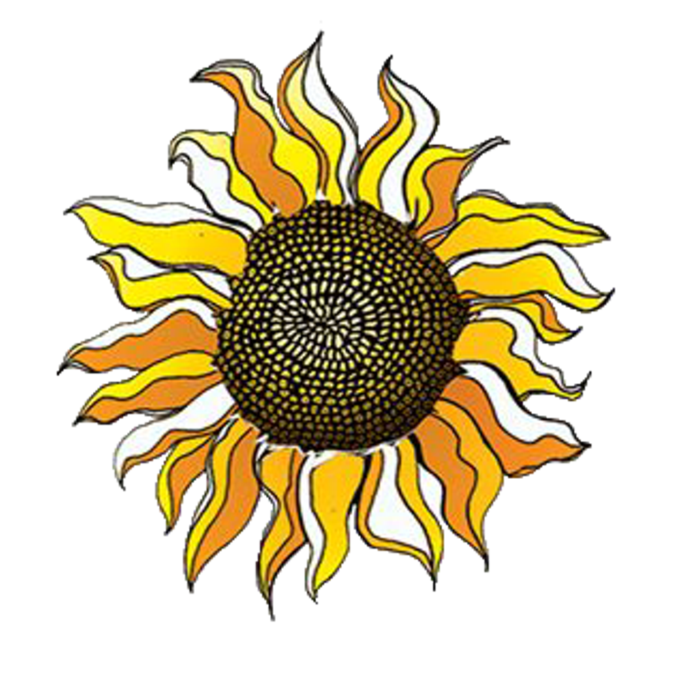 1653fb97_sunflower_png.png
