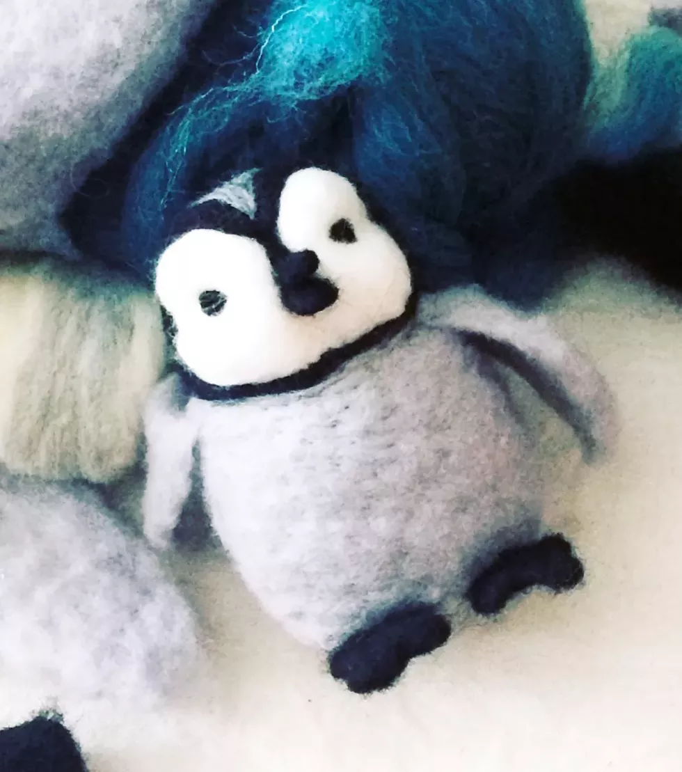 63977f50_penguin.webp