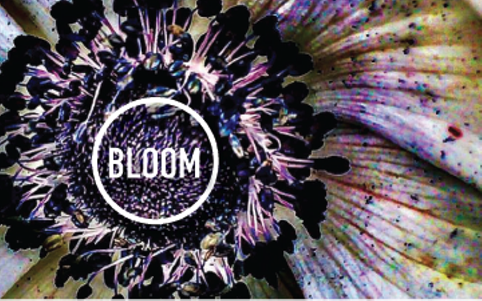 053a77e2_bloom_banner.png