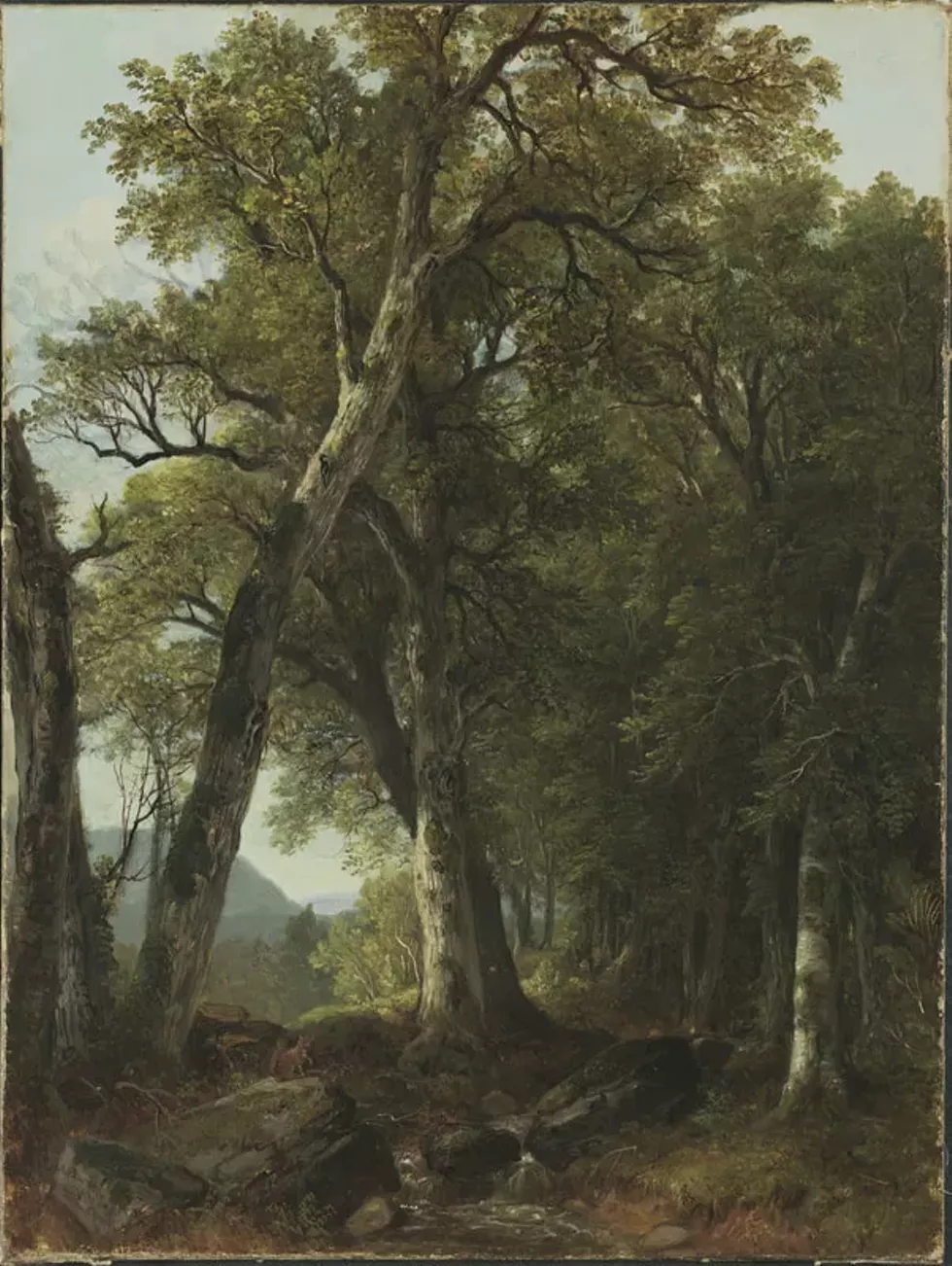 51b50dda_durand-through-the-woods_orig.webp