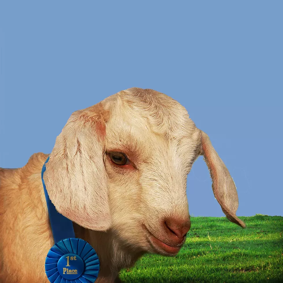 final_goat.webp
