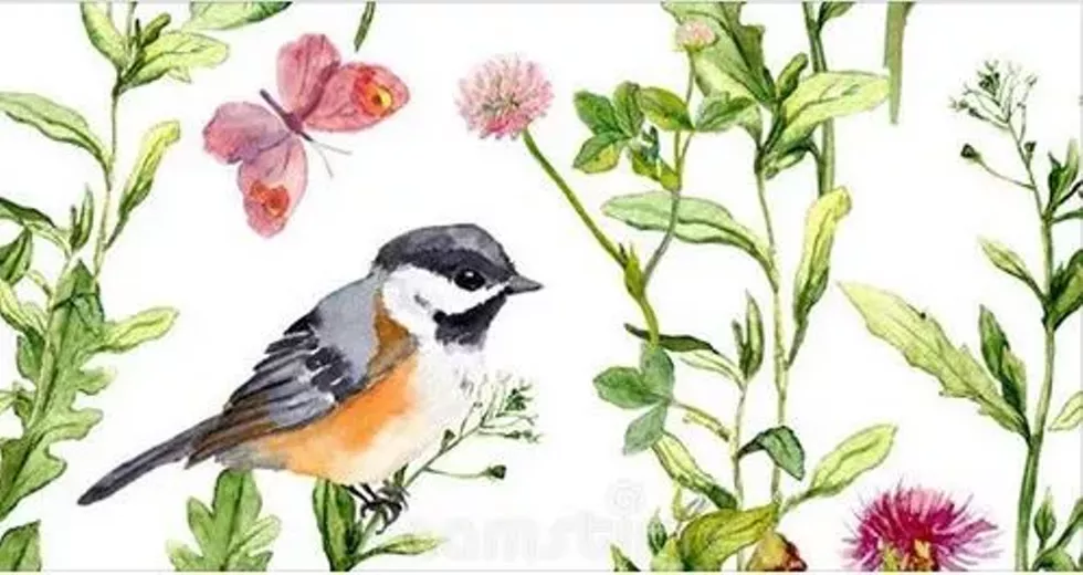 winged_wonders.webp