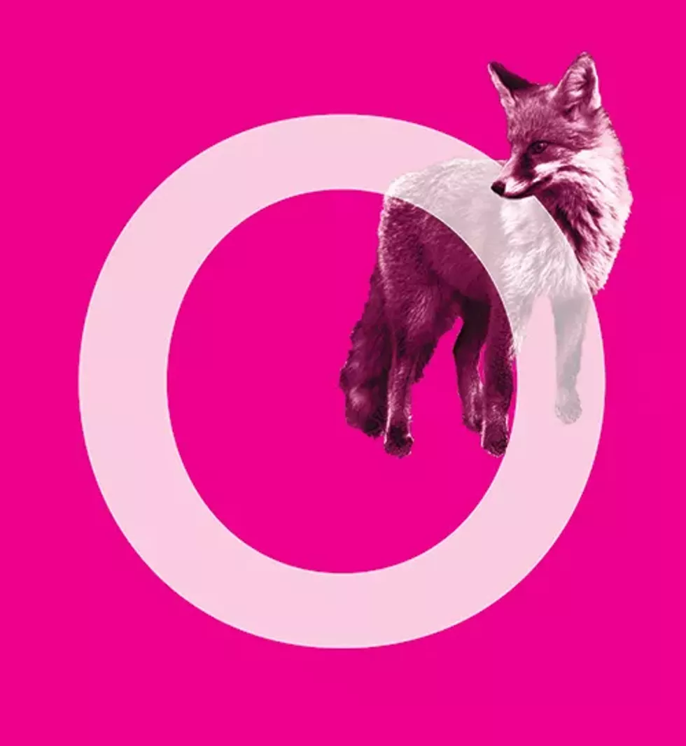 fox.webp