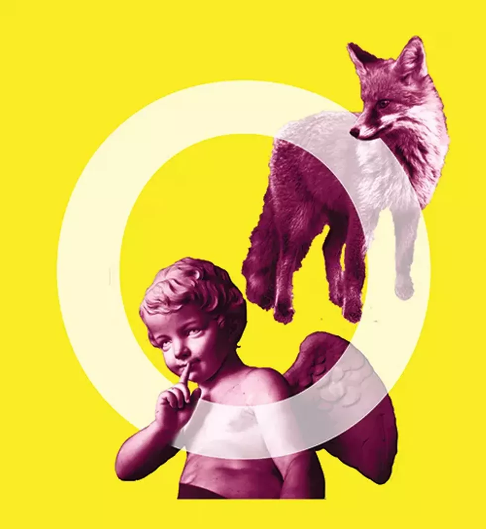 ologies_yellow-2.webp