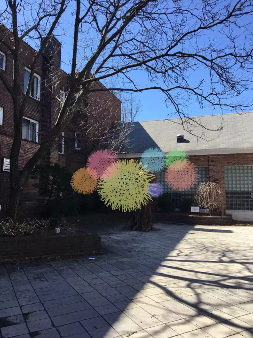 1._pompom.webp
