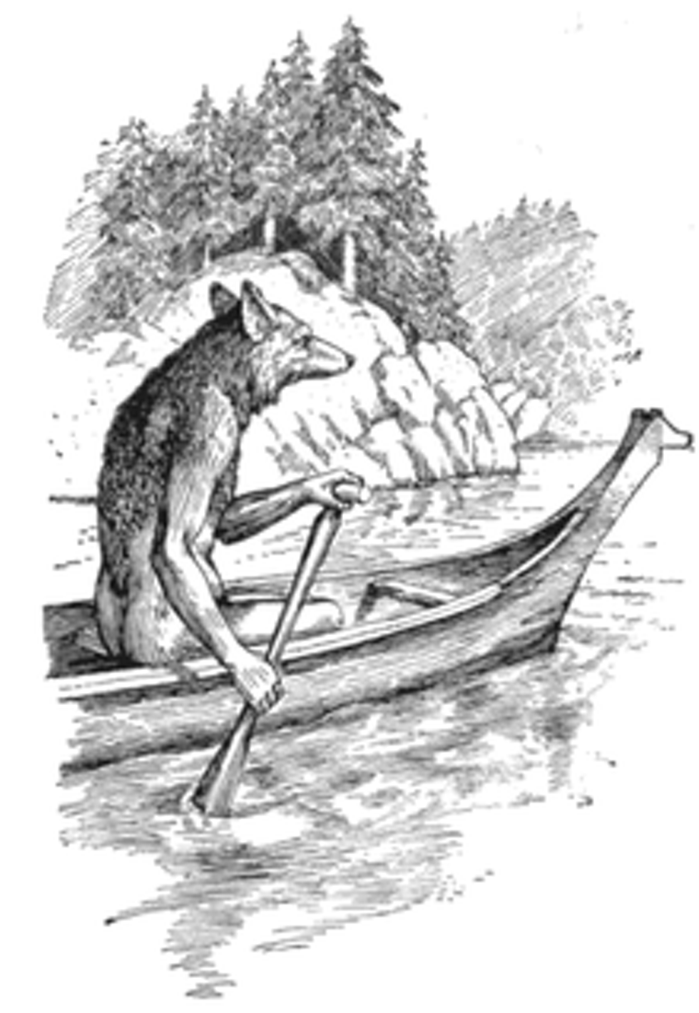 coyote_in_a_canoe_for_you.png