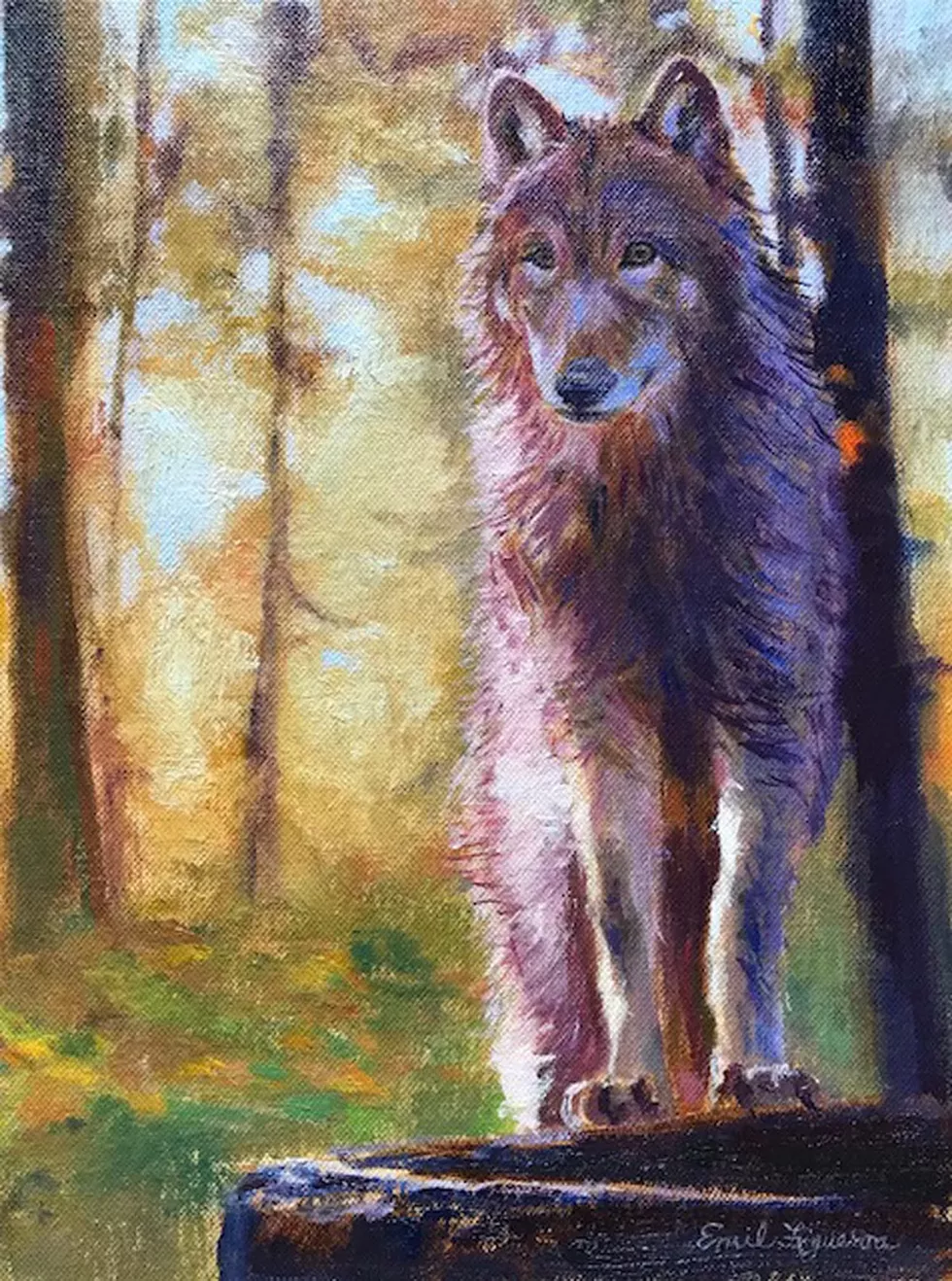 figueroa_forest_wolf_brochure.webp