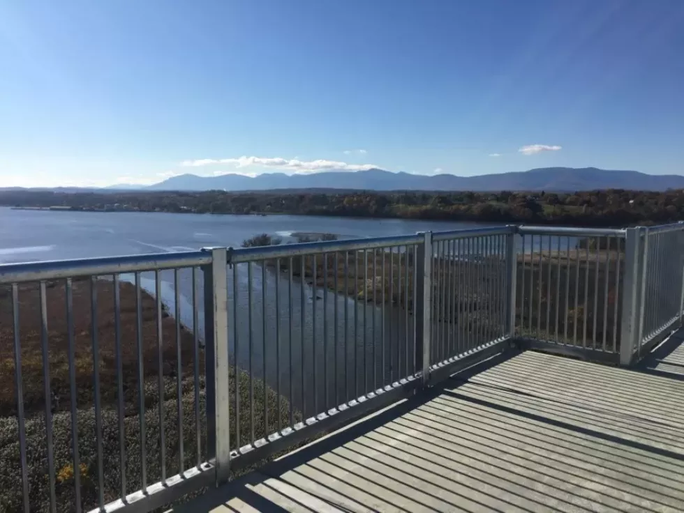 hudson_river_skywalk.webp