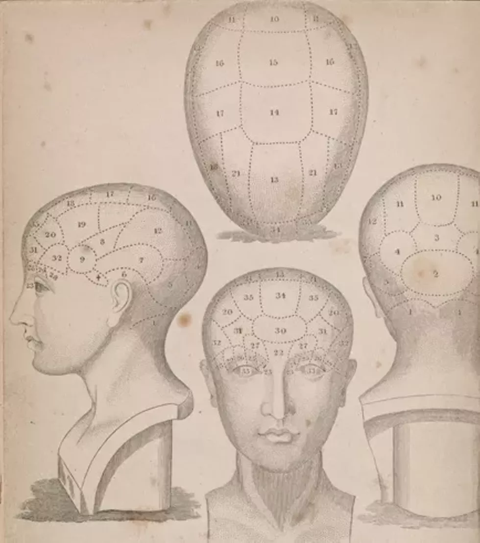 bard_steam_psycho_brain_nypl.webp