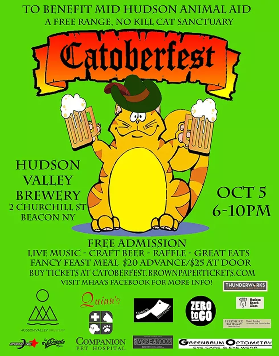 cfestposterweb.webp