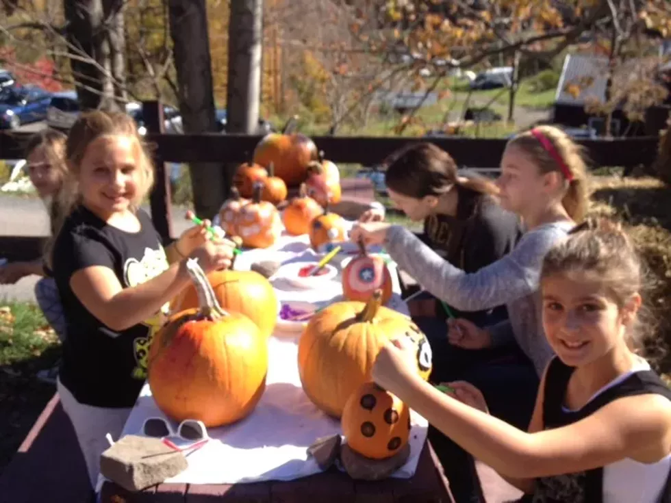 pumpkin_patch_2.webp