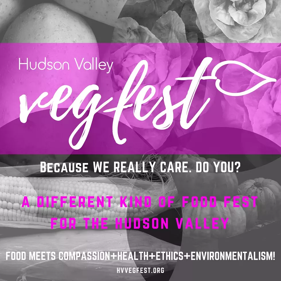 hv_vegfest_cares_for_ig.webp