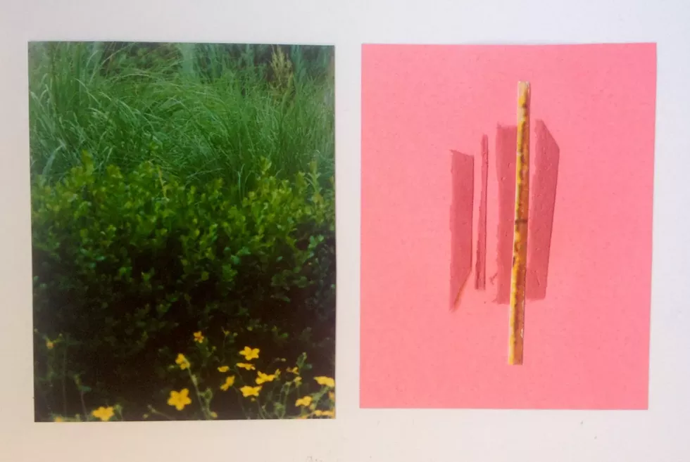 renee_samuels_collage_photograph_and_paper_4x6.webp