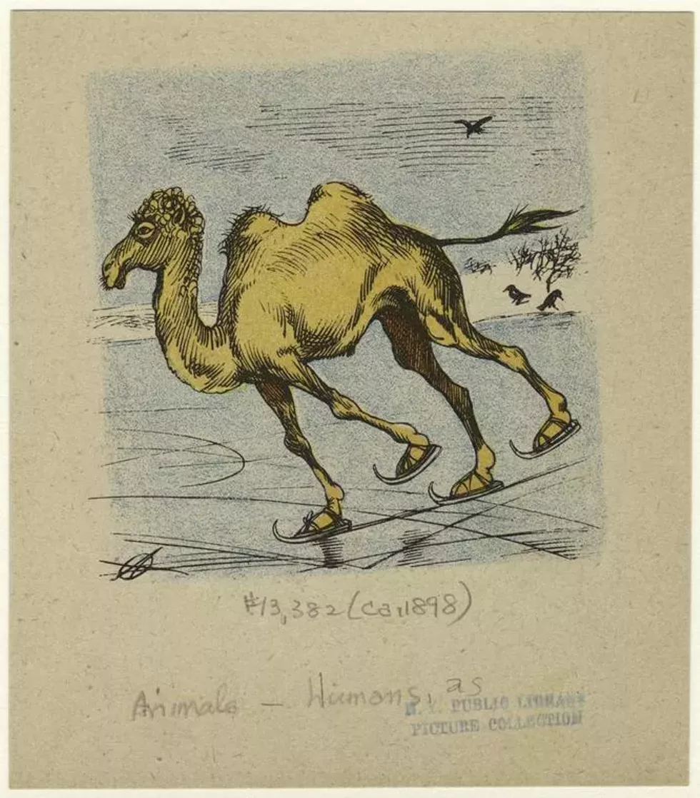 ice_skating3_nypl.webp