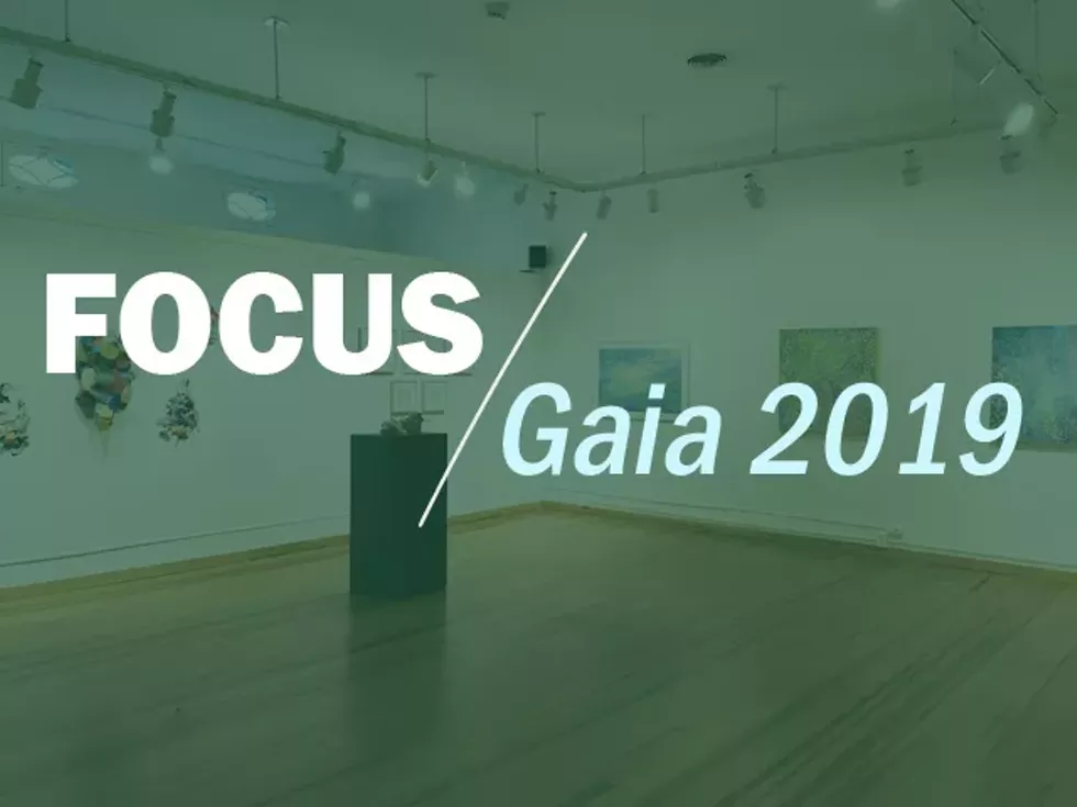 focusgaia2019_pre-2.webp