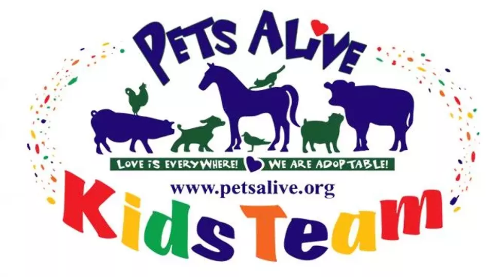 pets_alive_logo.webp
