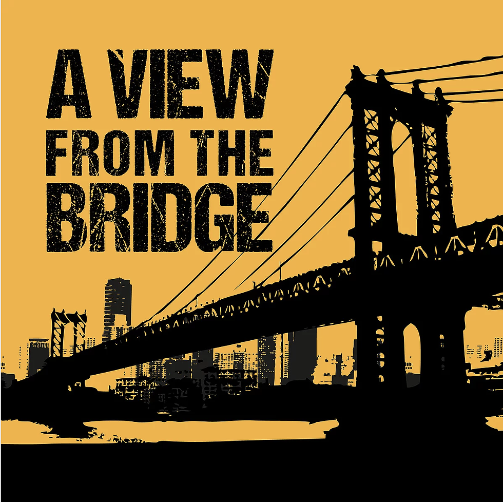 aviewfromthebridge.png