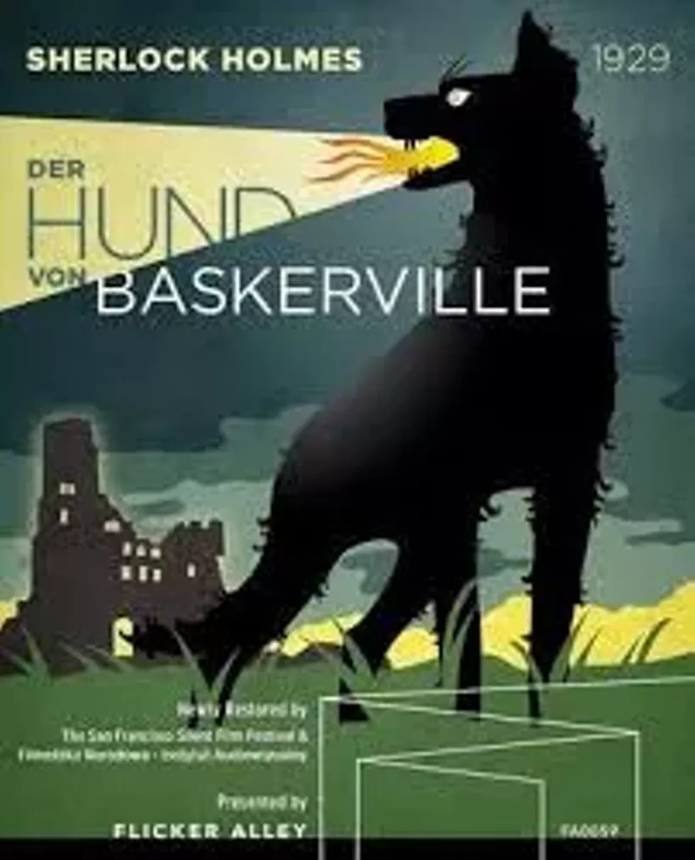 1der_hund_pdf1.webp