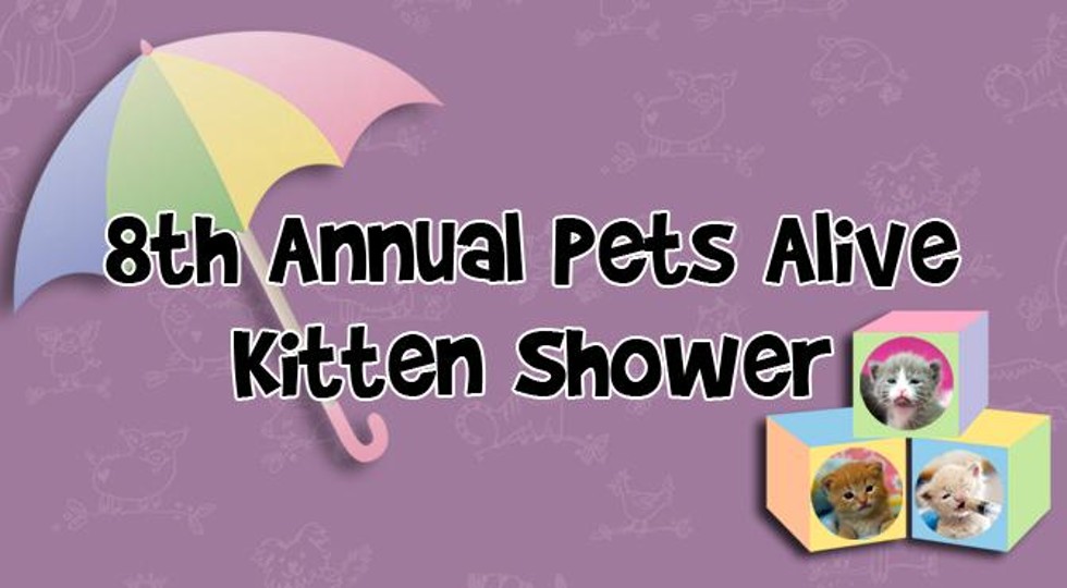 pets_alive_kitten_shower_logo.jpg