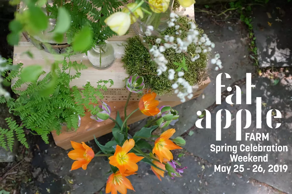 faf_spring_2019_event_graphic.webp