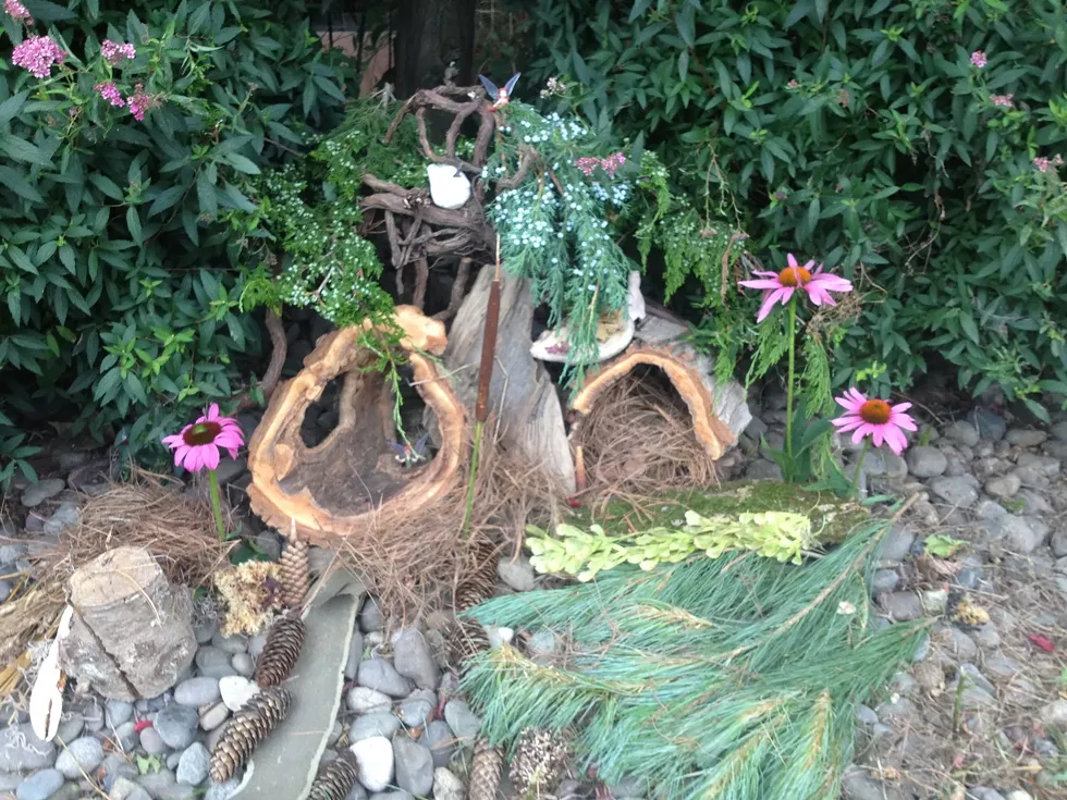 fairy_houses_pic.webp