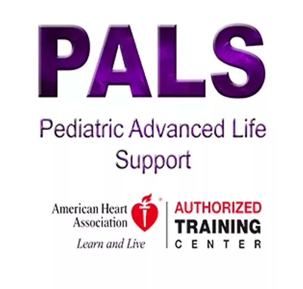 logo-pals-web-2.webp