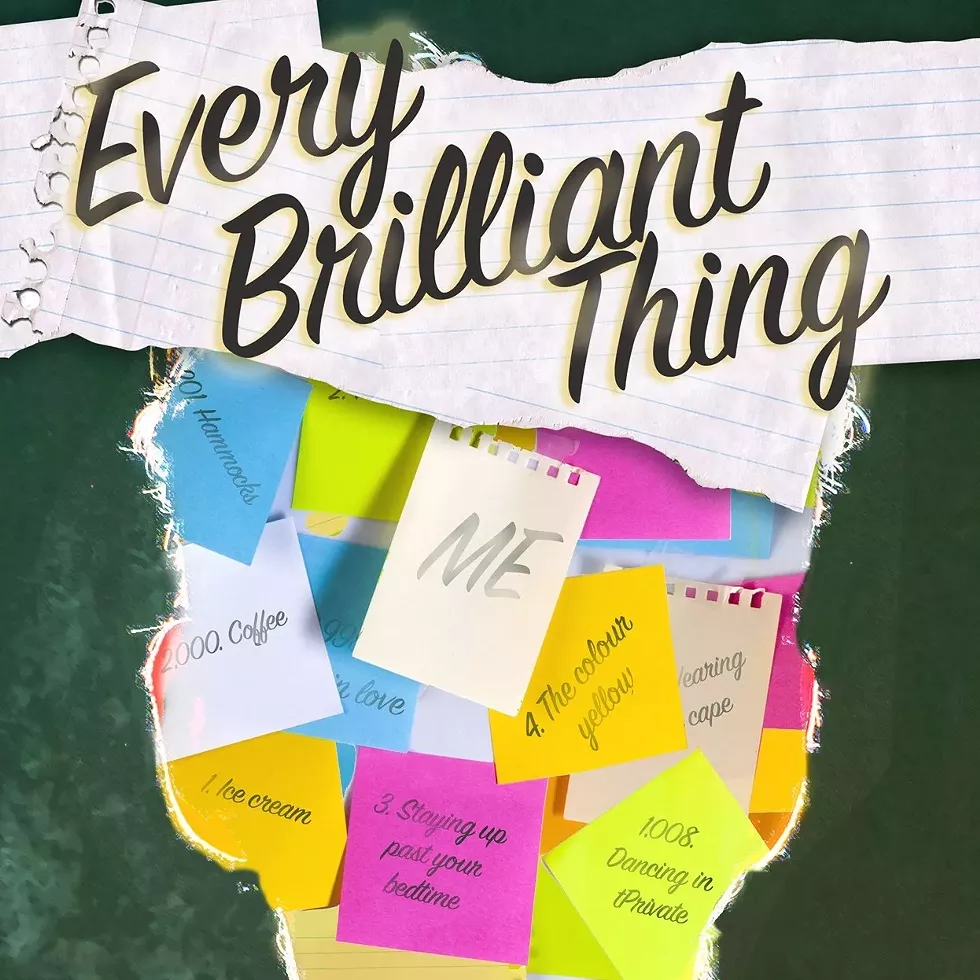 everybrilliantthing.webp