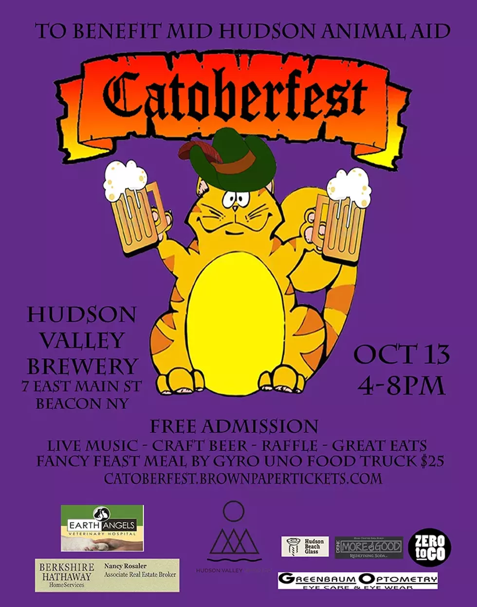 Catoberfest 2019