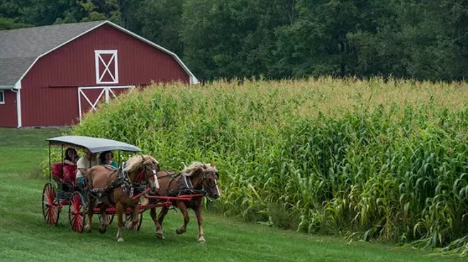 Image: The Harvest Festival