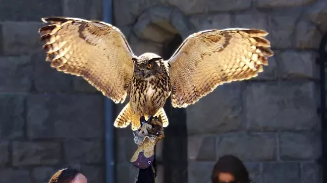 Image: Talons