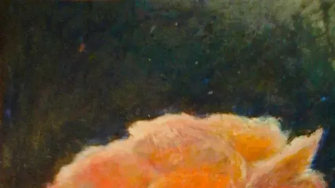 Image: Judith Vargas Warren: Landscapes