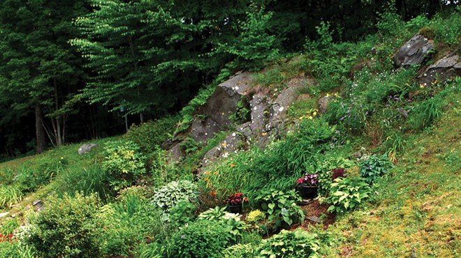 Lessons from The Hills: Gardening on Rocky and Steep Slopes