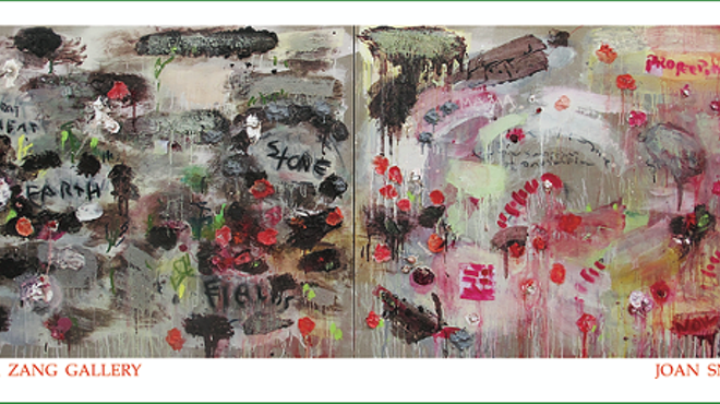 Image: Joan Snyder: Works Large & Small