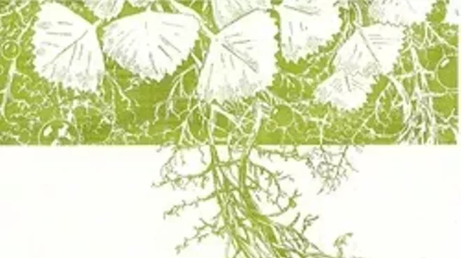 Image: Author Talk: Akiko Busch at Clermont Historic Site