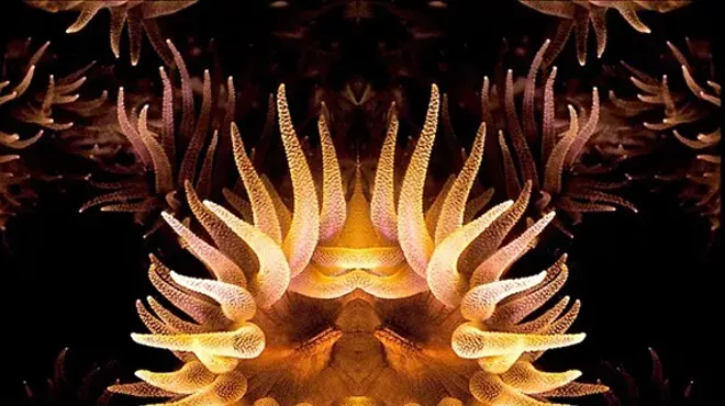 Image: The Chardavogne Group Show
