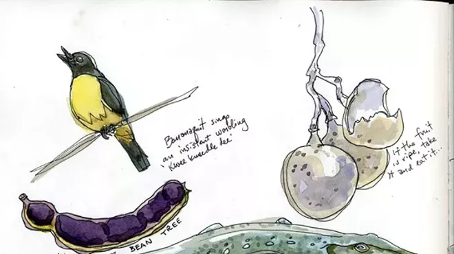 Image: Free Drawing Workshop with Ric Jones