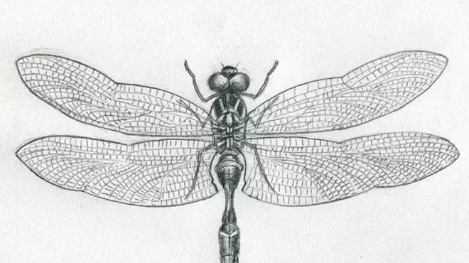 Image: Dragonfly Story Hour for Adults: A Story Slam