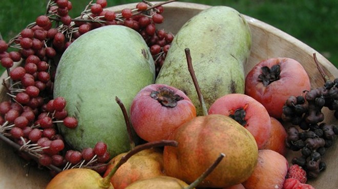 Fall Fruits: A Tasting an Workshop